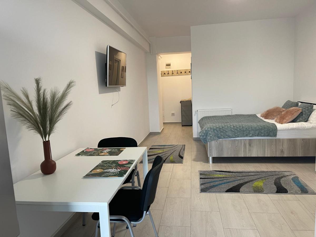 Studio Apartment Palas Mall ヤシ エクステリア 写真