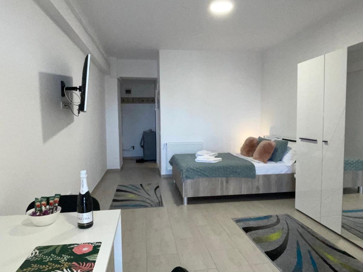 Studio Apartment Palas Mall ヤシ エクステリア 写真