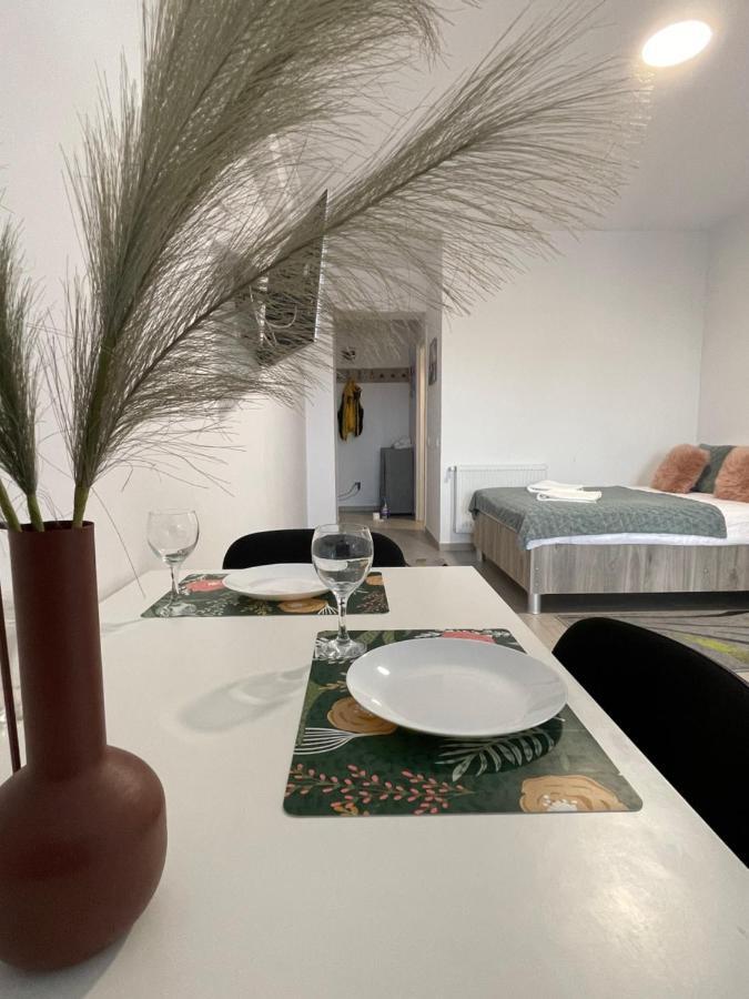 Studio Apartment Palas Mall ヤシ エクステリア 写真