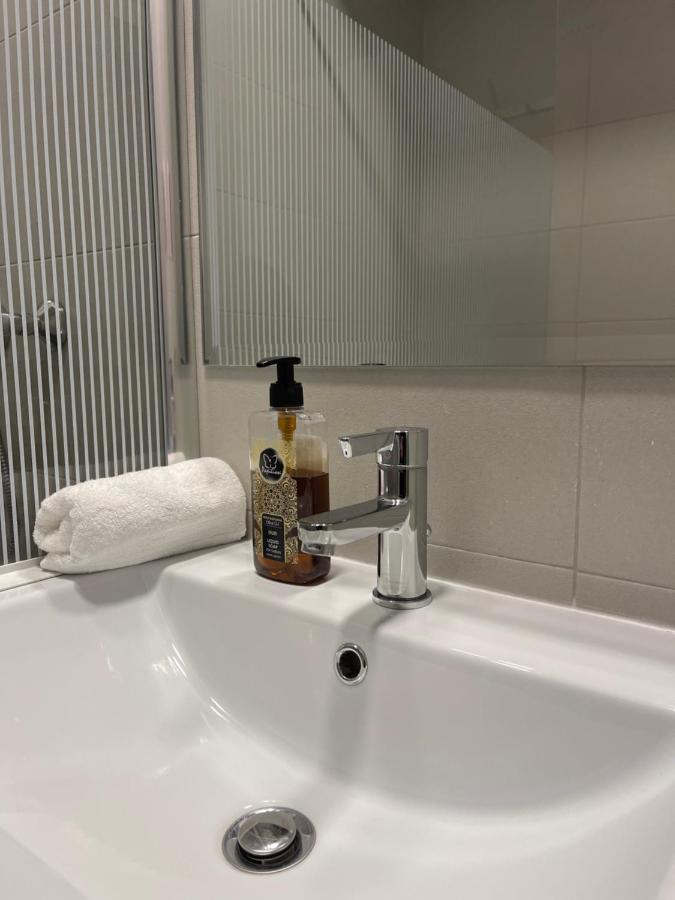 Studio Apartment Palas Mall ヤシ エクステリア 写真