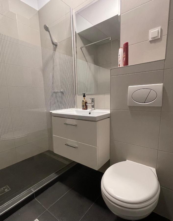 Studio Apartment Palas Mall ヤシ エクステリア 写真
