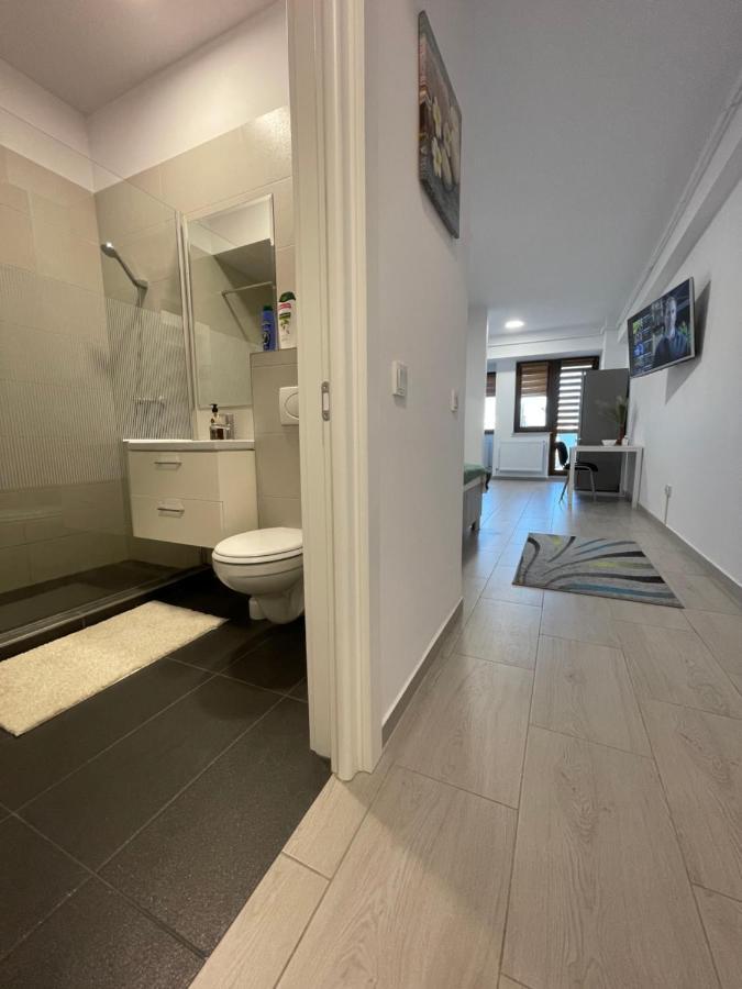 Studio Apartment Palas Mall ヤシ エクステリア 写真